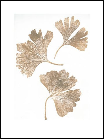 Gold Gingko Limited Edition Print - 30cm x 40cm