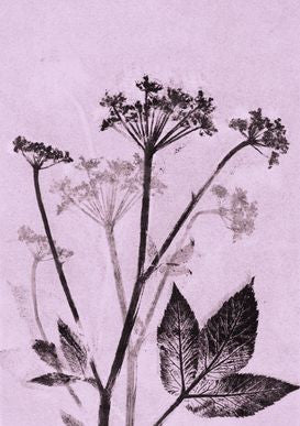 Soft Mauve Ground Elder Print A5 Postcard