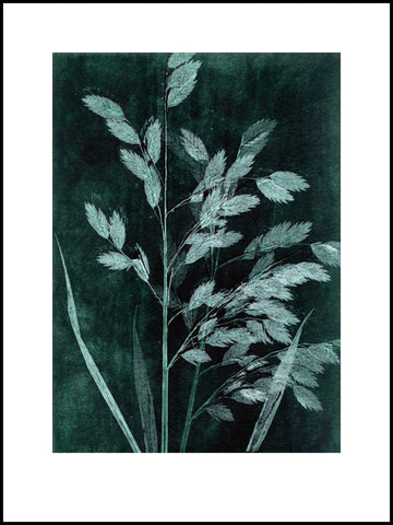 Petrol Grass Limited Edition Print 30 x 40 cm