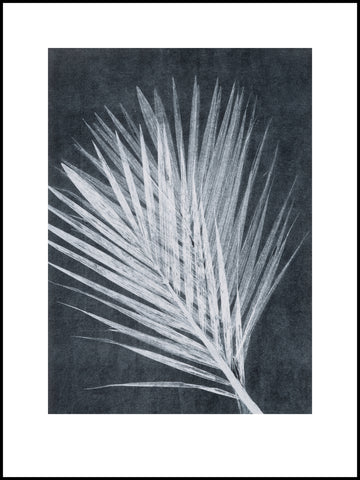 Black and White Palm Limited Edition Print 30cm x 40cm