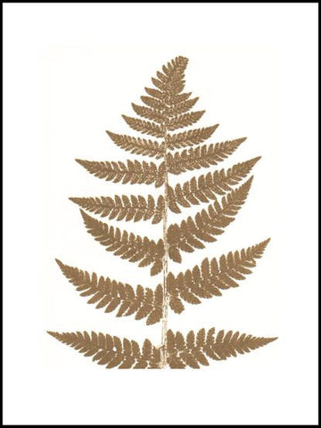 Gold Fern Limited Edition Print - 30cm x 40cm