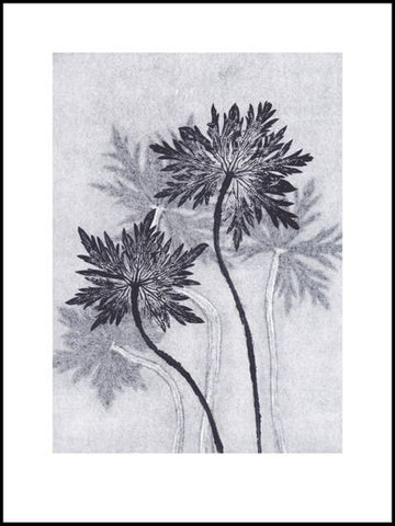 Grey Blue Geranium Limited Edition Print - 30cm x 40cm
