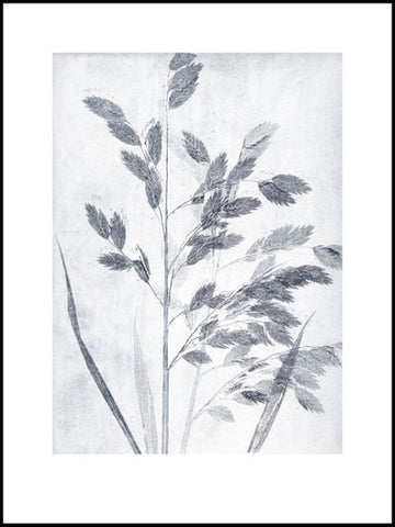 Dusty Blue/Grey Grass Limited Edition Print - 30cm x 40cm