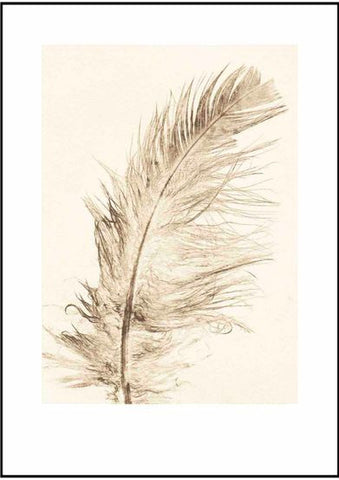 Gold Feather Limited Edition Print