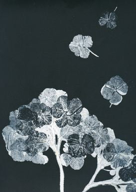 Hydrangea Black Print A5 Postcard