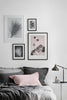 Blush Pink Hydrangea Limited Edition Print - 50cm x 70cm