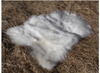 Icelandic Long Hair Sheepskin